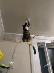 Not Sure About this Electrician