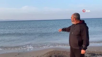 Çanakkale yangınında denize karışan ağaç kalıntıları Saros Körfezi sahiline vurdu
