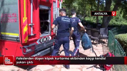 Falezlerden düşen köpek kurtarma ekibinden kaçtı yukarı kendisi çıktı