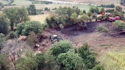 Sinop'ta Orman Yangınında 10 Dönüm Alan Zarar Gördü