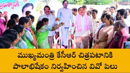 వర్ధన్నపేట: సీఎం కేసీఆర్ చిత్రపటానికి పాలాభిషేకం