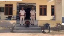 जयपुर: मौजमाबाद पुलिस ने किया चोरी की वारदात का खुलासा, एक आरोपी गिरफ्तार