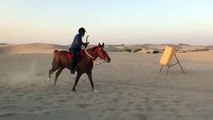 Emirati Saeed Al Dharif teaches mounted archery_1