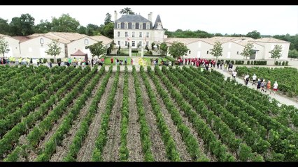 Watch the Exciting Drone Replay of Marathon du Médoc 2023 🎥