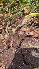 किसान कांग्रेस करेगी 5 को कलेक्ट्रेट का घेराव