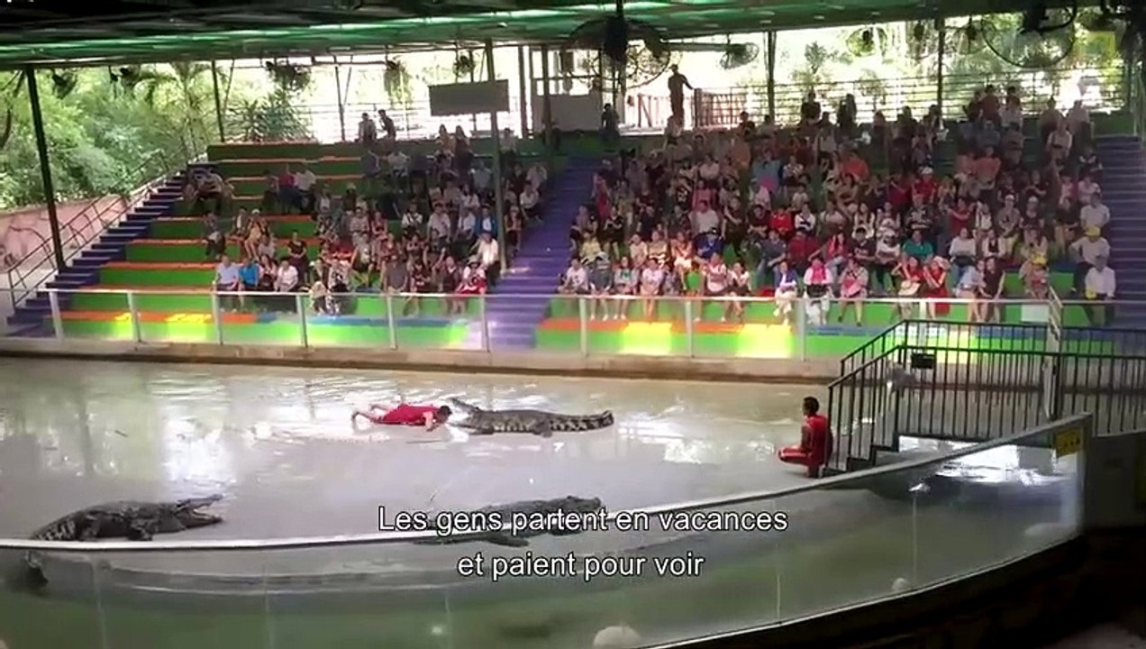 Immersion dans le cruel univers du tourisme animalier