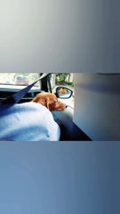 Vlog Randonné aout 2023