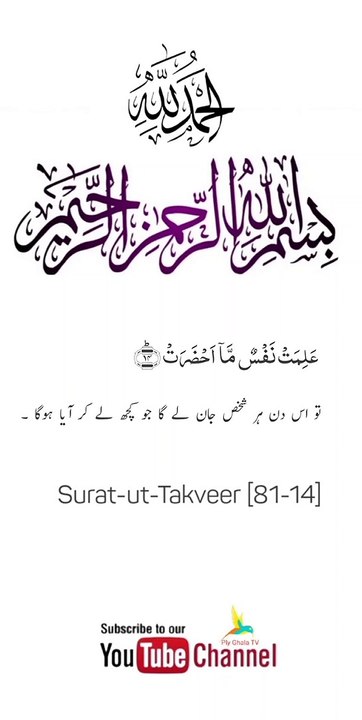 Quran , Al Quran Surah 81 Ayat 14 #viral #shorts #quran #islam #tilawat #religious #ayat #islamicvideo #foryou