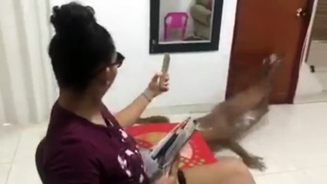 Episode 16: Un Voyage dans le Rire : Épisode Comique en Cours ! #betisier #ridiculous