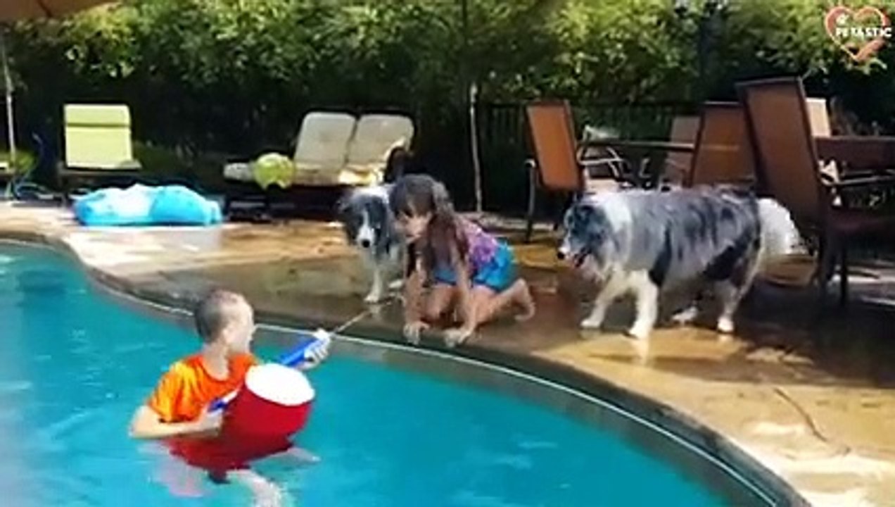 Ultimate Funniest Kids and Pets Compilation 2021 - Try Not To Laugh   PETASTIC