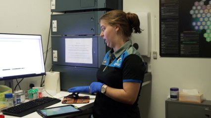 Calls to take Canberra’s drug-checking service on the road