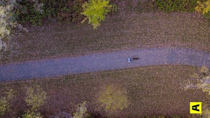 Elles parlent aux animaux | show | 2021 | Official Trailer