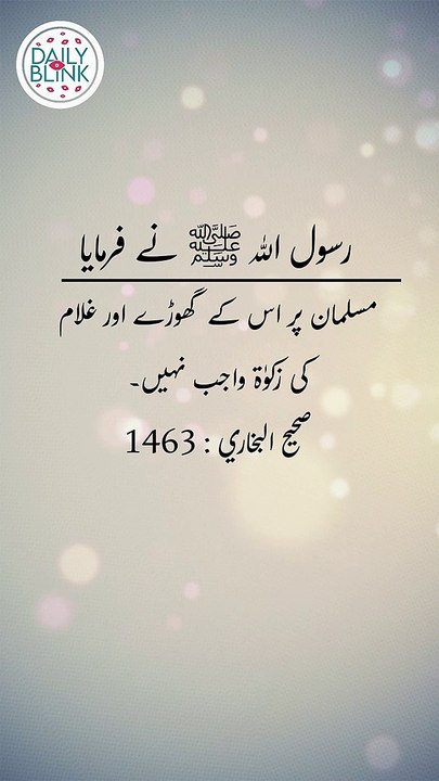 Daily Hadees | Hadees Sharif | Sahih Bukhari 1463 || Daily Blink #shorts #viral #sahihbukhari