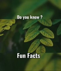 Smells Evoke Emotion