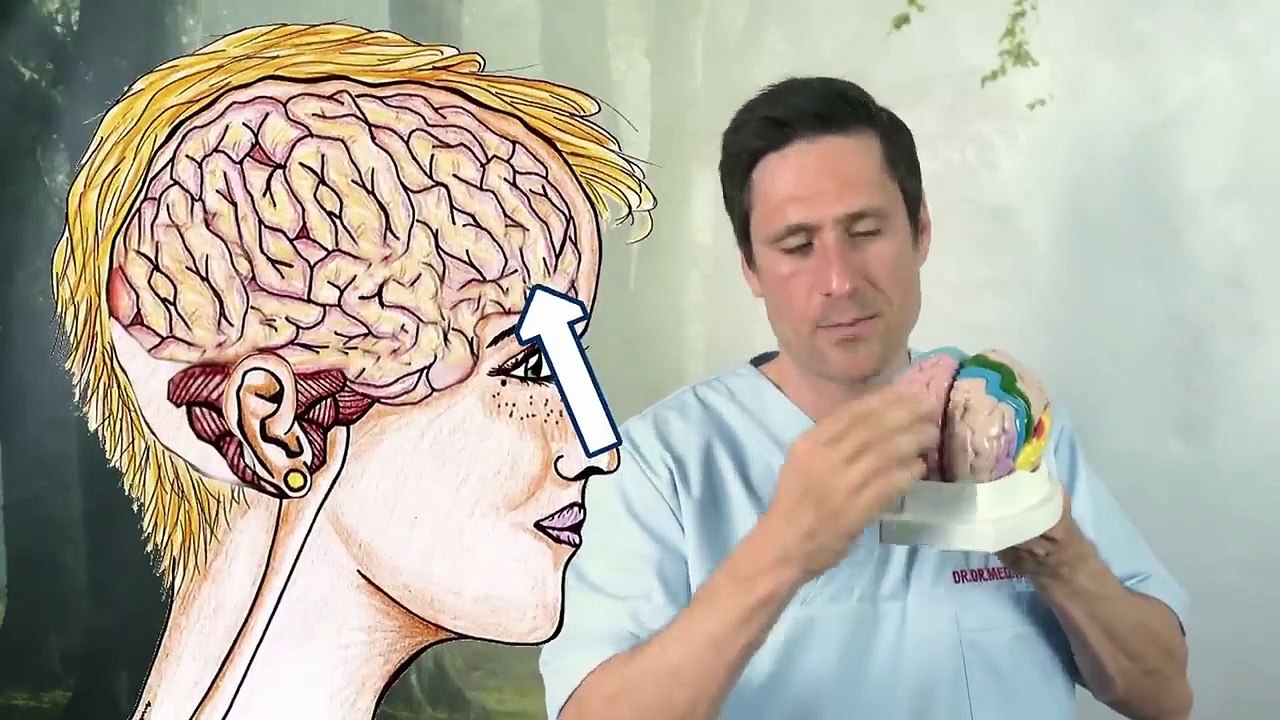 ADHS-Behandlung mit Ritalin Effektive Behandlung oder umstrittene Ruhigstellung Typische Folgen