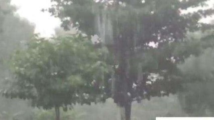 ఎన్టీఆర్ జిల్లా: నందిగామలో కుండపోత వర్షం