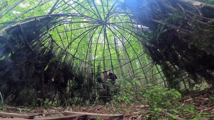 Building a Survival Shelter in a Forest - Camp food from natural herbs