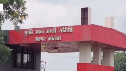 आगर: किसानों की फसलें पूरी तरह हो रही प्रभावित, मात्र 26 इंच हुई बारिश