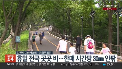 [날씨] 휴일 곳곳 비…아침·저녁 선선, 낮 더위