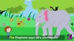 Rabbits Rabbits One Two Three _ Nursery Rhymes With Lyrics _ English Rhymes For Kids