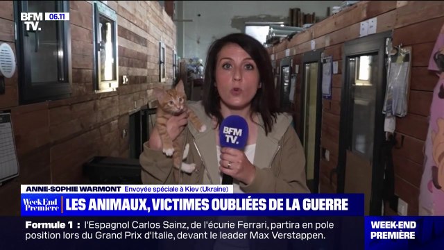 Les animaux, victimes oubliées de la guerre en Ukraine