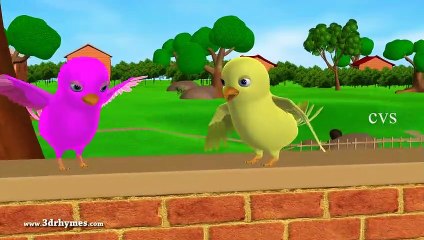 Two little dicky birds - 3D Animation English Nursery rhymes for children