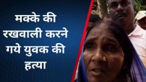 गोरखपुर: मक्के की रखवाली करने गए युवक की हुई हत्या, जांच में जुटी पुलिस