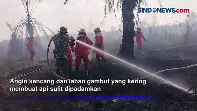 Kebakaran Lahan Gambut di Jambi Semakin Meluas