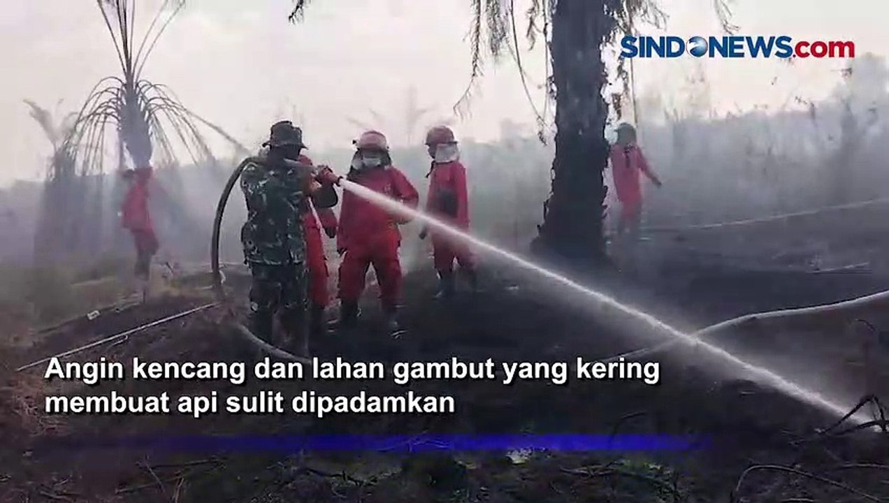 Kebakaran Lahan Gambut di Jambi Semakin Meluas