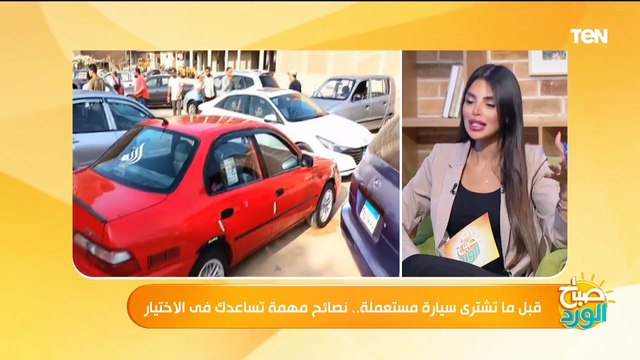 مميزات وعيوب السيارات الكهربائية ونشتريها ولا نستنى شوية؟.. عضو شعبة السيارات يجيب