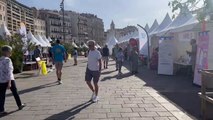 Le Festival des associations « Vivacité » est toute la journée sur le Vieux-Port