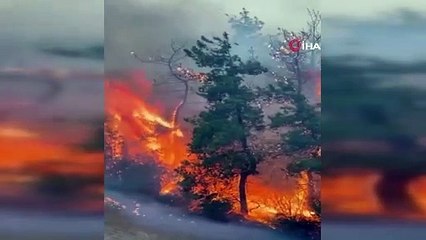 Mudanya yangınının bilançosu günün ilk ışıklarıyla belli oldu