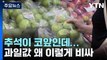 추석 앞두고 과일값 고공행진...정부 물가 잡기 총력 / YTN