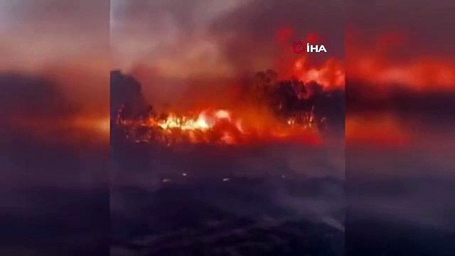 Sakarya Orman Yangını Gönüllüleri Alevlerin Arasında Kaldı