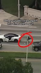 Crazy GTA-Like High Speed Chase _ LX News