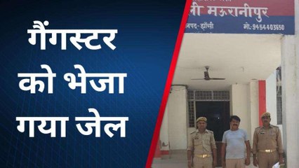 झांसी: गैंगस्टर एक्ट में अपराधी को पुलिस ने किया गिरफ्तार, भेजा जेल