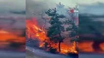 L'incendie dans le district de Mudanya à Bursa a été éteint en 17 heures
