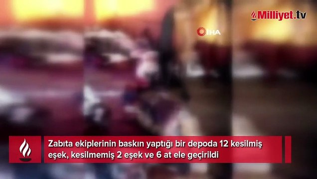 Adana'da 12 kesilmiş eşek ele geçirildi! Mide bulandıran görüntüler...