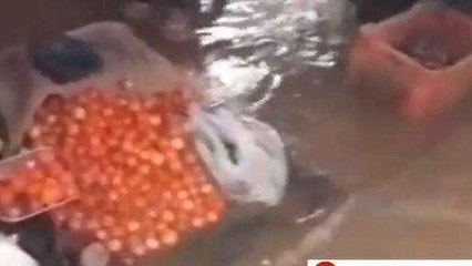 వికారాబాద్: భారీ వర్షాలు.. రైతు బజార్ ను ముంచెత్తిన వరద