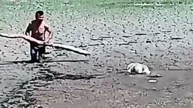 Kuruyunca tuzağa dönüştü: Bataklık tehlikesine dikkat!