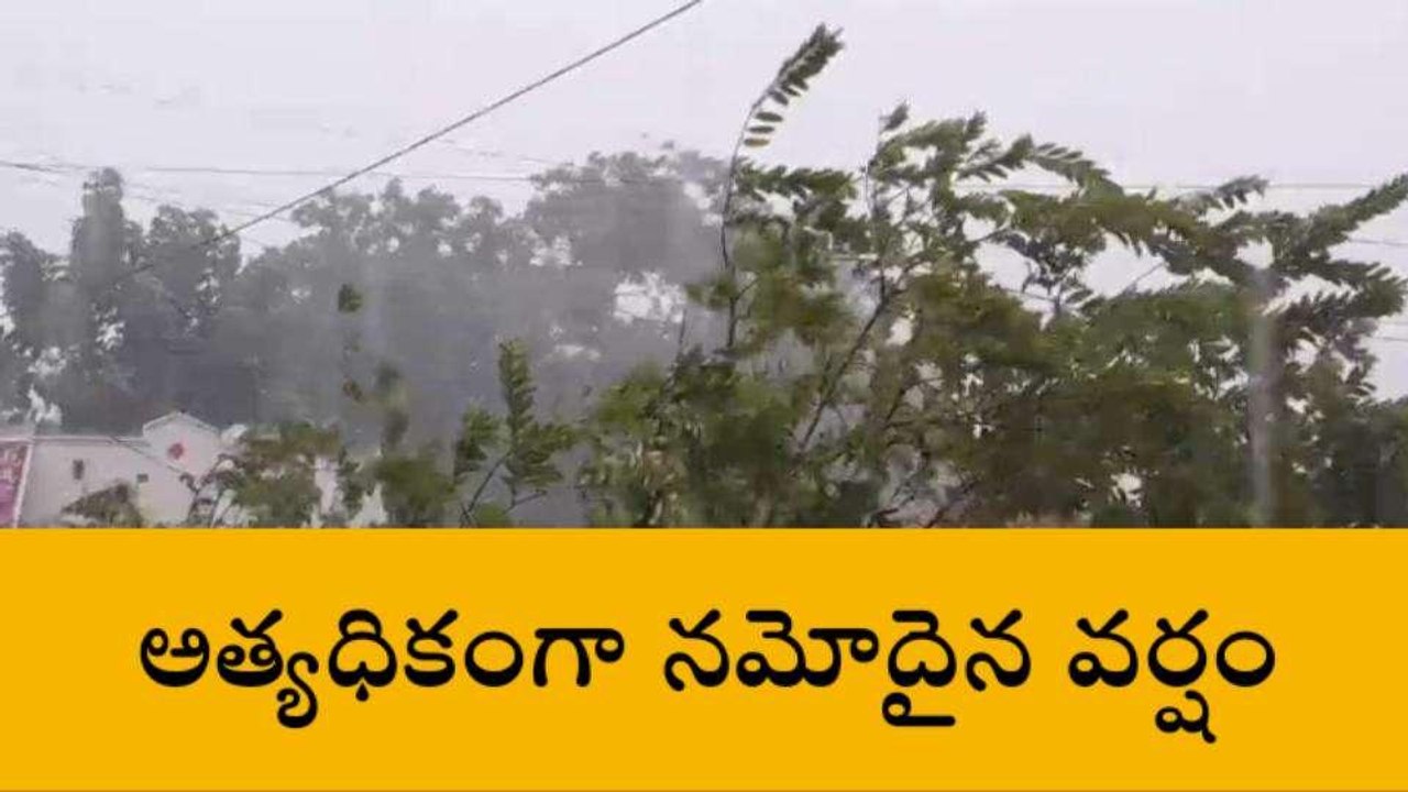 సూర్యాపేట: జిల్లావ్యాప్తంగా భారీ వర్షం..!