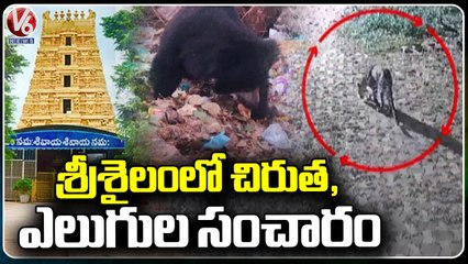 Leopard And Bear Wandering Creates Panic In Sunnipenta _ Nandyal  _ AP _  V6 News