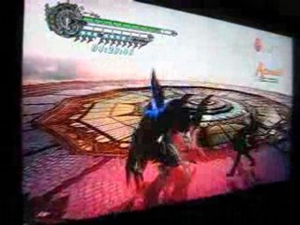 Video DMC4