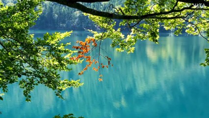 ভারতের গর্ব  কোহিনুর  ভারতে আনার তোড়জোড়। বৃটিশ  ষড়যন্ত্র  মূলক ভাবে তা সংগ্রহ। এছিল মালওয়ারের  রাজার।