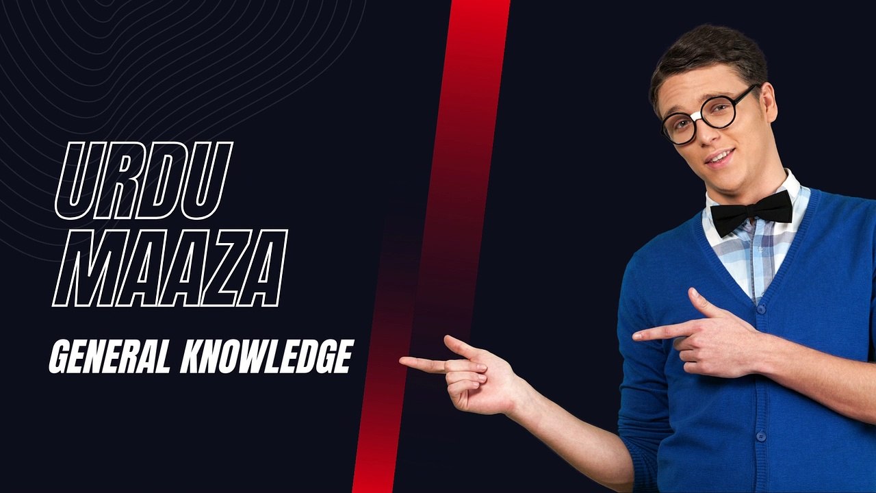 General Knowledge Part 1 l Information l Dilchasp Mahloumat l Urdu Maaza