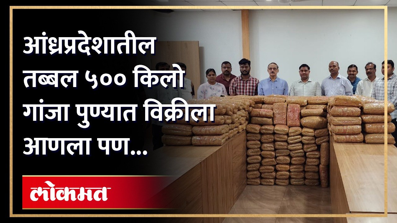 पुणे पोलिसांची मोठी कारवाई! तब्बल पाचशे किलो गांजा जप्त