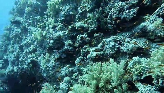 Égypte Safaga 28 août 2023