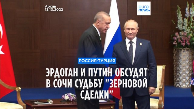 Путин обсудит с Эрдоганом возможность возобновления зерновой сделки