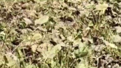 अशोकनगर: संयुक्त किसान मोर्चा करेगा कलेक्ट्रेट का घेराव,जानिए क्या है मांगें