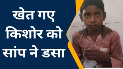 सीतापुर: खेत गए किशोर को सांप ने डसा, हालत बिगड़ी